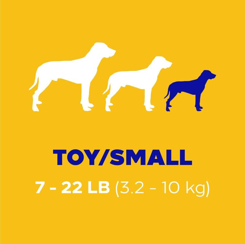 Pedigree Dentastix Toy & Small Breed Dog Treats, Beef Flavor, 24 Treats (Pack of 7)