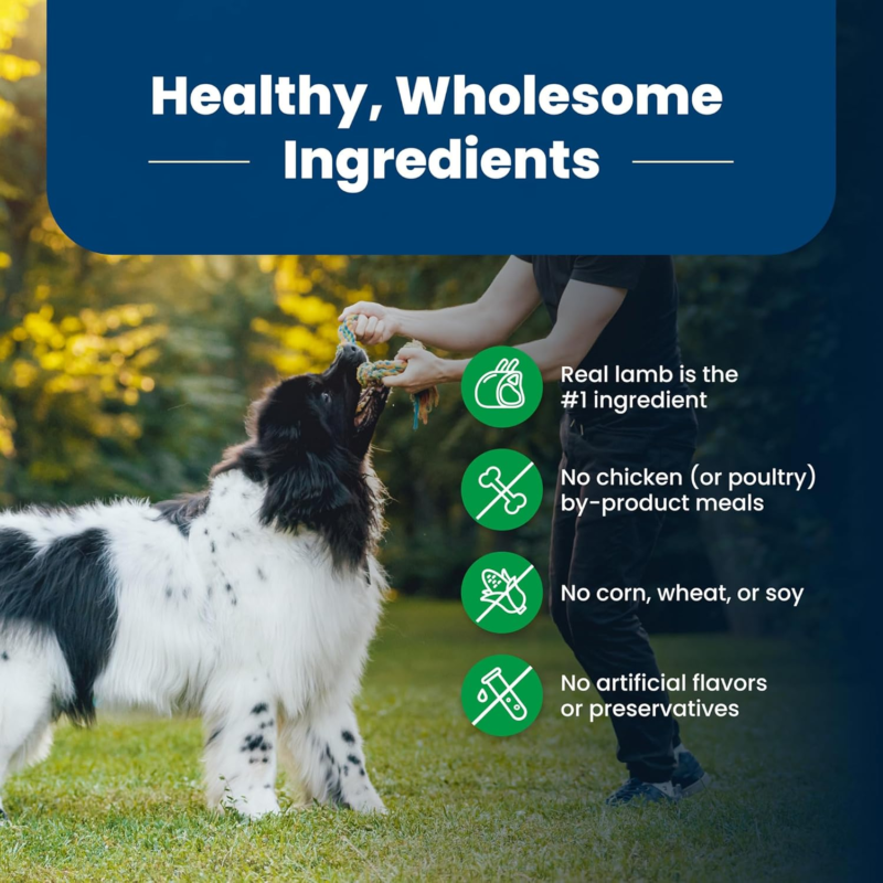 Blue Buffalo Life Protection Formula Adult Dry Dog Food, Helps Build and Maintain Strong Muscles, Made with Natural Ingredients, Lamb & Brown Rice Recipe, 5-lb. Bag : Pet Supplies