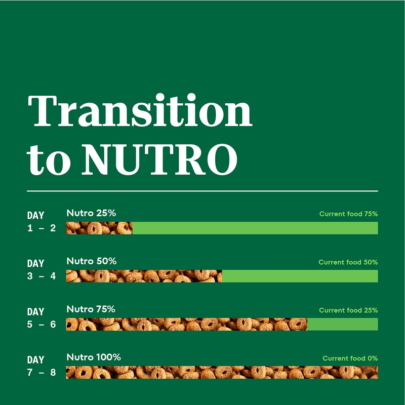 Nutro Natural Choice Senior Dry Dog Food, Lamb and Brown Rice Recipe, 30 lbs. : Pet Supplies