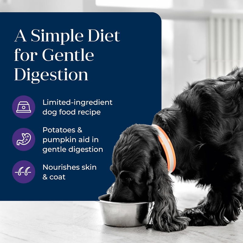 Blue Buffalo Basics Grain-Free Senior Wet Dog Food, Skin & Stomach Care, Limited Ingredient Diet, Turkey Recipe, 12.5-oz. Cans, 12 Count: Pet Supplies: Amazon.com