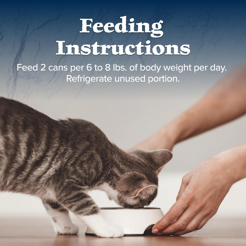 Blue Buffalo Wilderness Natural High-Protein Grain-Free Wet Food for Adult Cats, Salmon Paté, 3-oz. Cans, 24 Count