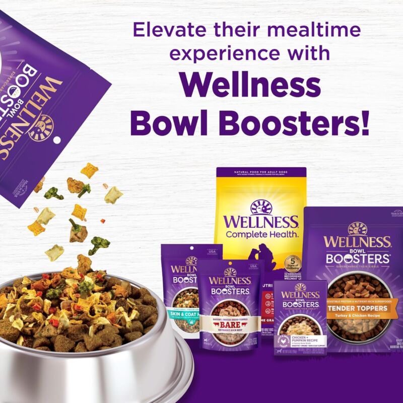 Wellness Complete Health Dry Dog Food, Wholesome Grains, Natural, Whitefish & Sweet Potato, (5-Pound Bag) : Pet Supplies