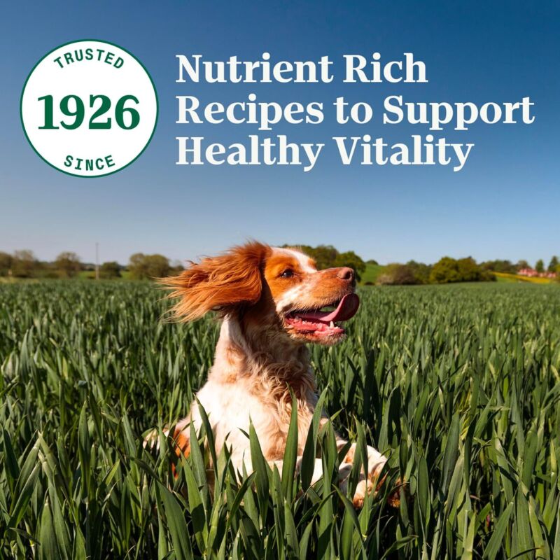 Nutro Natural Choice Adult Small Breed Dry Dog Food, Chicken and Brown Rice, 5 lbs. : Pet Supplies