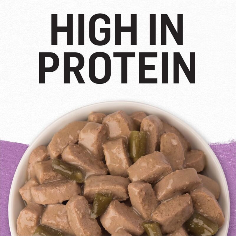 Purina Beyond Turkey and Green Bean in Gravy Natural Grain Free Wet Dog Food with Added Vitamins and Minerals - (Pack of 12) 12.5 oz. Cans: Pet Supplies: Amazon.com