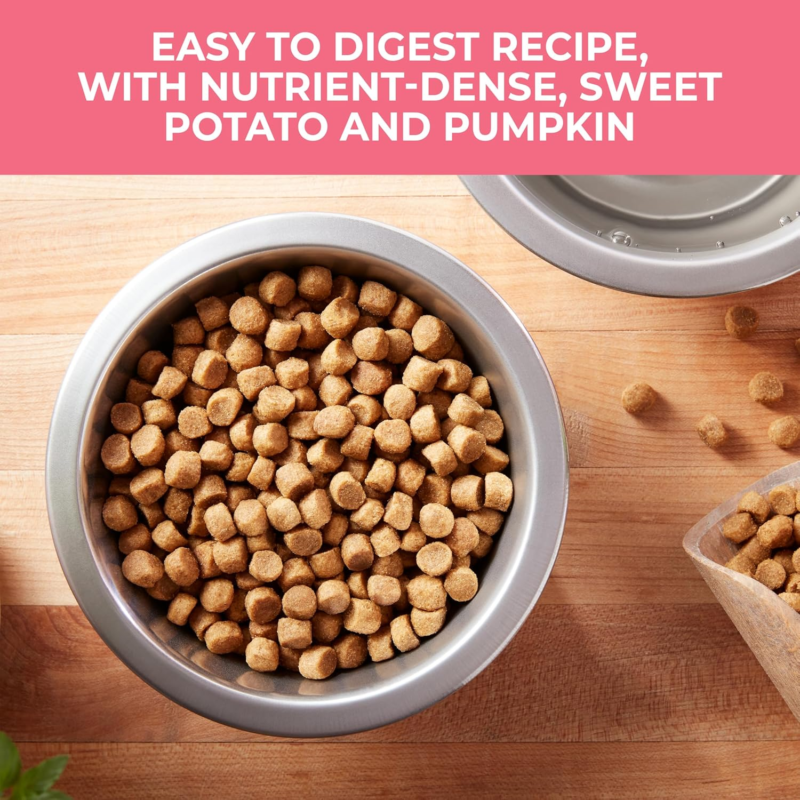 Nature’s Recipe Grain Free Salmon, Sweet Potato & Pumpkin Recipe Dry Dog Food, 24 lb. Bag : Pet Supplies