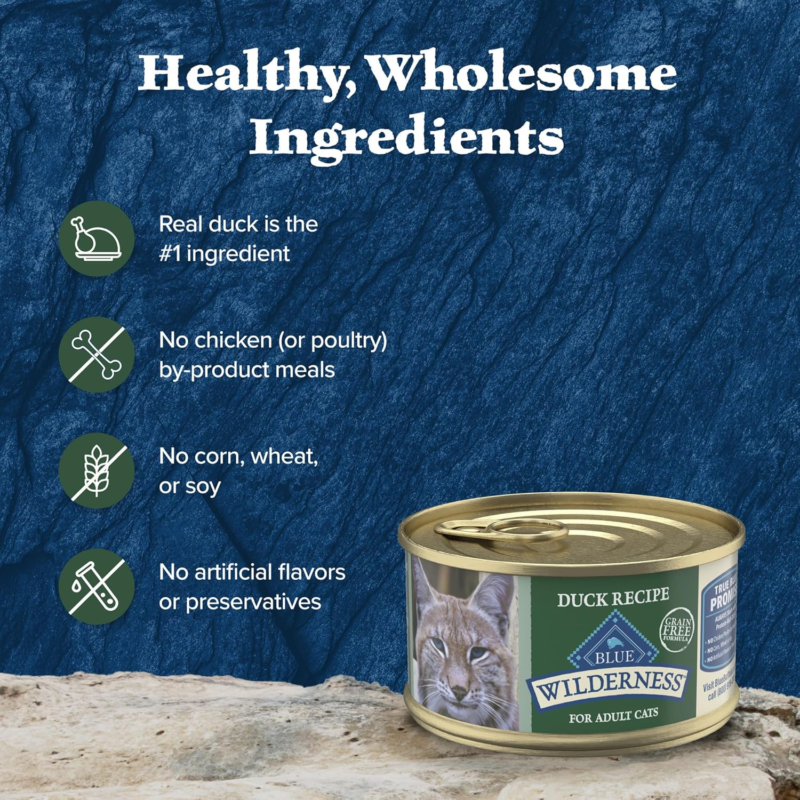 Blue Buffalo Wilderness Natural High-Protein Grain-Free Wet Food for Adult Cats, Salmon Paté, 3-oz. Cans, 24 Count