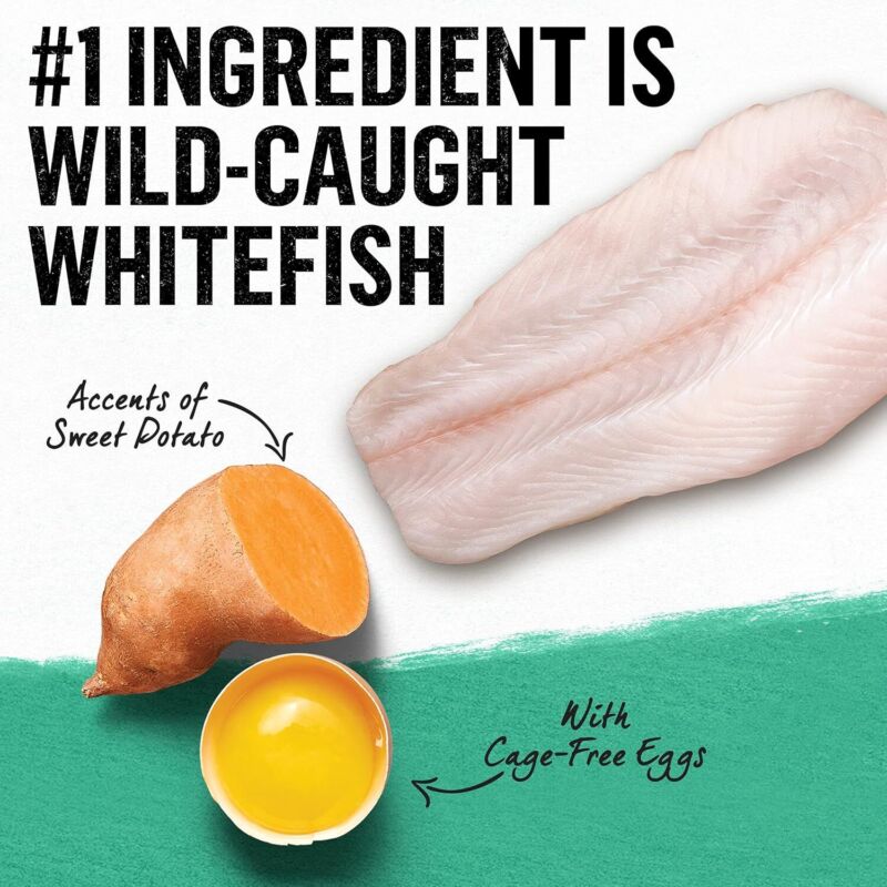 Purina Beyond Natural Grain Free Dry Cat Food Whitefish and Egg Recipe With Added Vitamins, Minerals and Nutrients - 11 lb. Bag : Pet Supplies