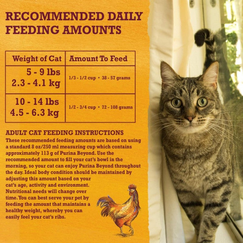 Purina Beyond Grain Free White Meat Chicken and Egg Recipe Natural Cat Food High Protein Cat Food Dry Formula - 5 lb. Bag : Pet Supplies