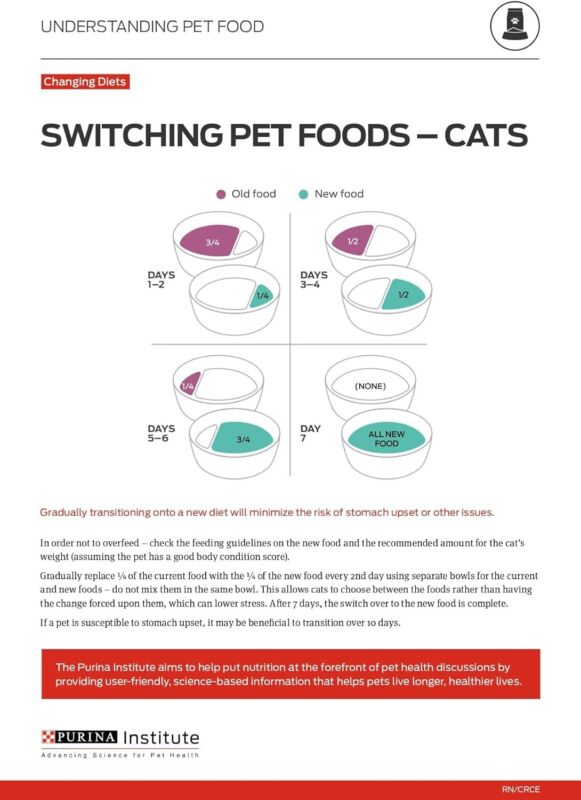 Purina ONE Natural Dry Cat Food, Tender Selects Blend With Real Chicken - 22 lb. Bag : Dry Pet Food : Pet Supplies