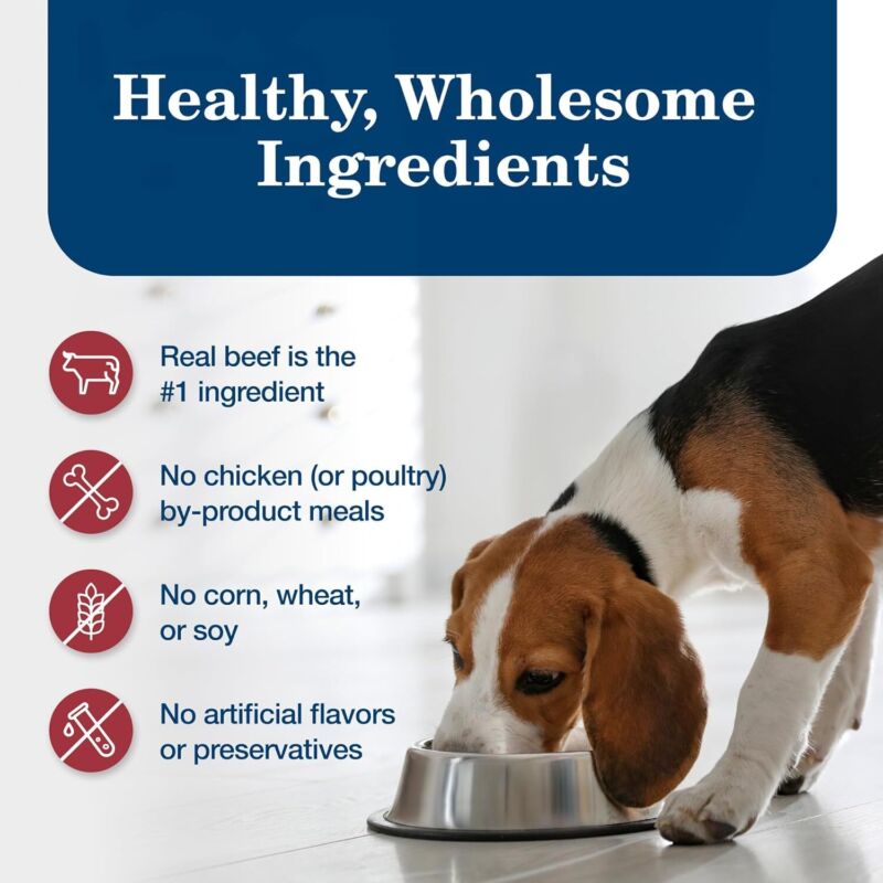 Blue Buffalo Homestyle Recipe Adult Wet Dog Food, Made with Natural Ingredients, Beef Dinner With Garden Vegetables, 12.5-oz Cans (12 Count): Pet Supplies: Amazon.com