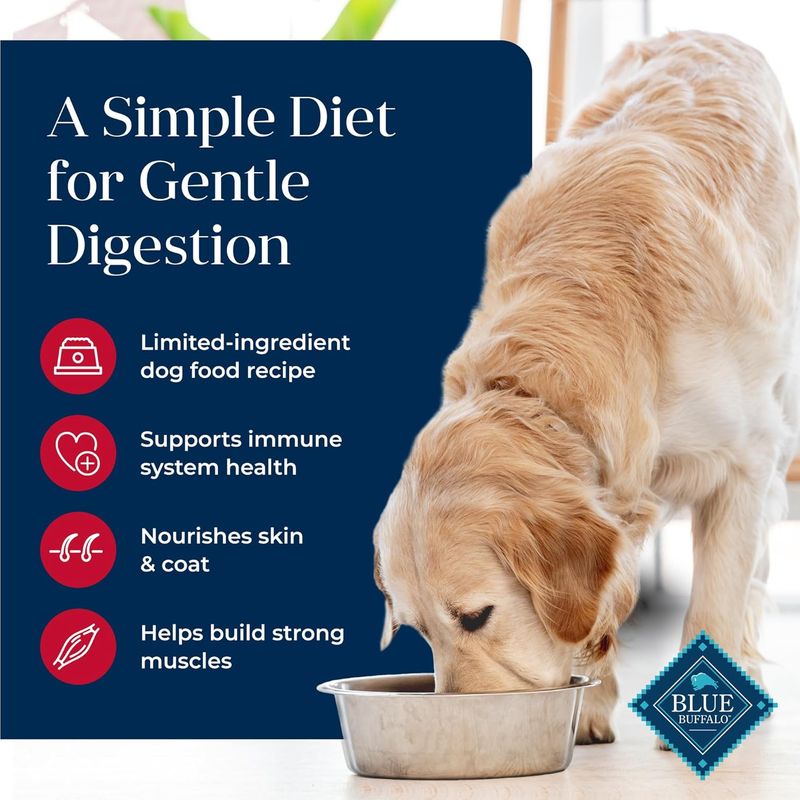 Blue Buffalo Basics Grain-Free Adult Dry Dog Food, Skin & Stomach Care, Limited Ingredient Diet for Dogs, Salmon Recipe, 4-lb. Bag : Pet Supplies