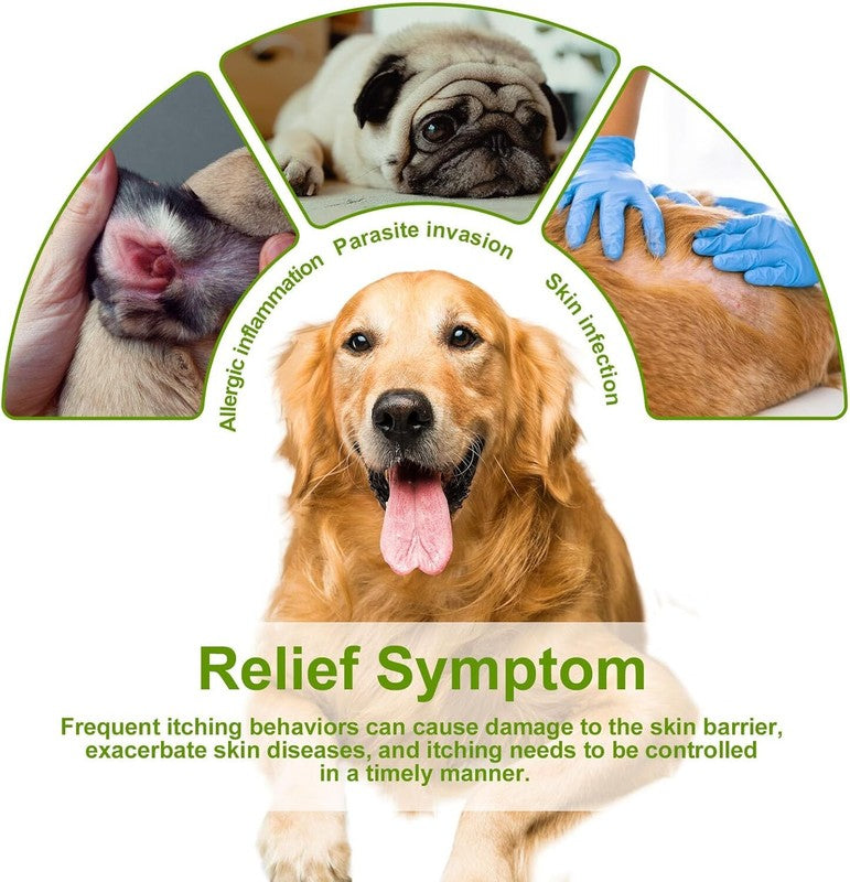Dog Allergy Itch Relief Chews Anti Itch Immune Treats with Probiotics and Colostrum for Dry Skin Licking Seasonal Allergies Skin & Coat Supplement, Immunity Omega 3 6 9 Fish Salmon Oil : Pet Supplies