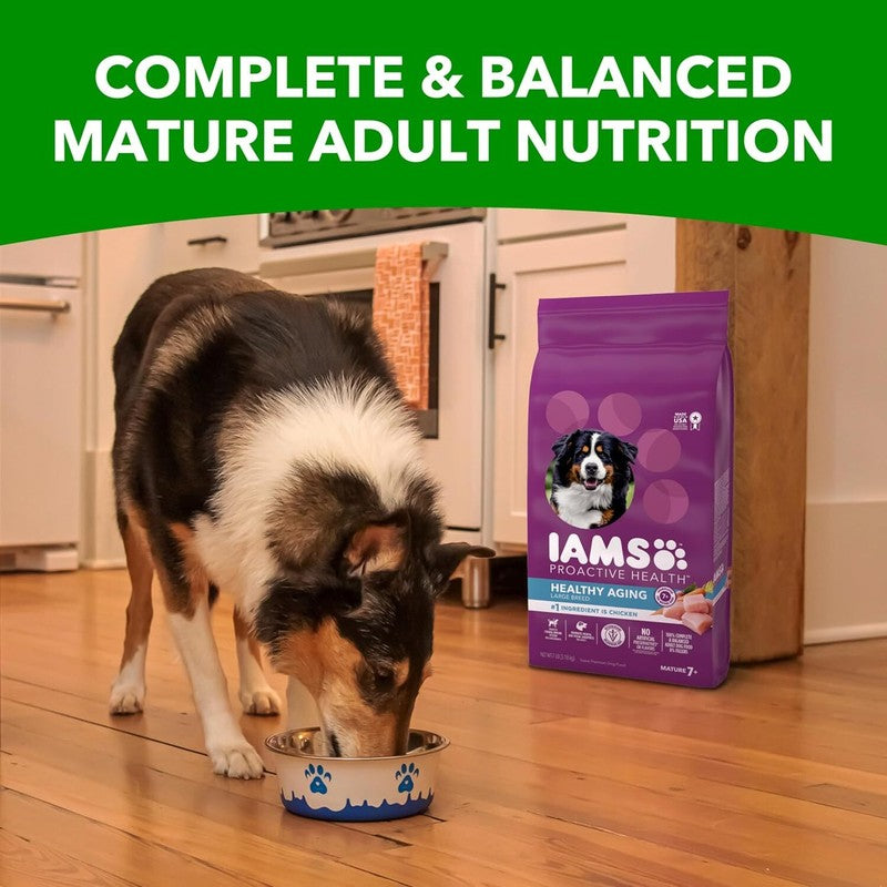 IAMS Proactive Health Healthy Aging Large Breed Dog Food for Mature and Senior Dogs with Real Chicken, 30 lb. Bag : Pet Supplies