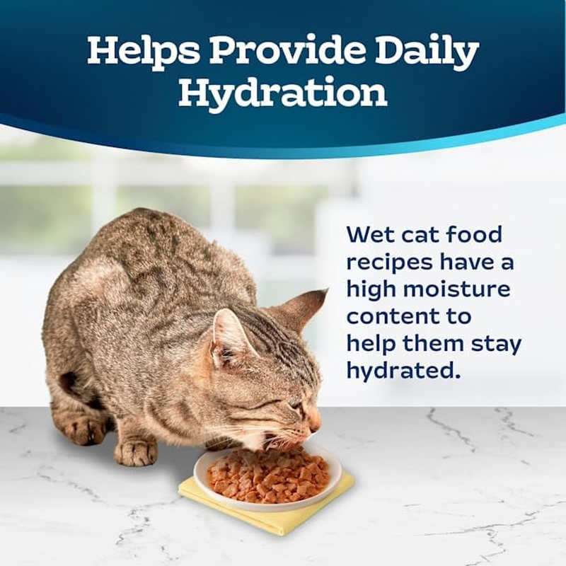 Blue Buffalo True Solutions Digestive Care Wet Dog Food for Adult Dogs, Made with Natural Ingredients, Chicken, 12.5-oz. Cans (12 Count) : Pet Supplies