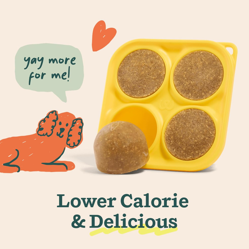WOOF Dog Pupsicle Mix - Easy-to-Make DIY Pupsicle Refills - Tasty, Healthy Pupsicle Mix - Wholesome Ingredients - Long-Lasting Treats for Dogs - Balanced Belly Mix : Pet Supplies
