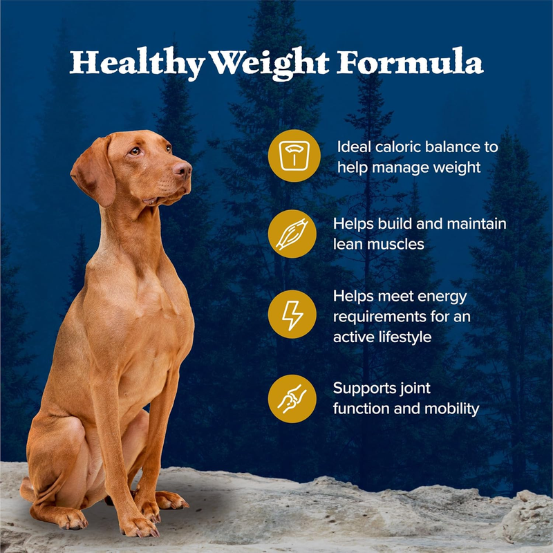 Blue Buffalo Wilderness Natural High-Protein Healthy Weight Dry Food for Adult Dogs, Chicken Recipe, 28-lb. Bag : Sports & Outdoors