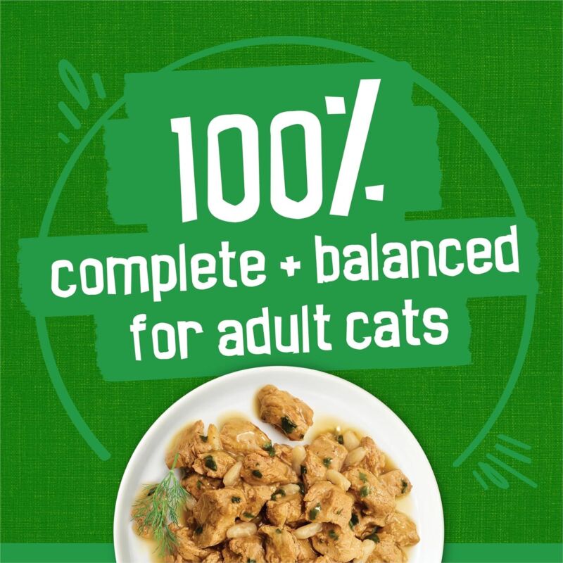 Purina Friskies Indoor Cat Food 24ct VP - (Chicken and Turkey Casserole, Saucy Seafood Bake, Homestyle Turkey Dinner) - (Pack of 24) 5.5 oz. Cans : Pet Supplies