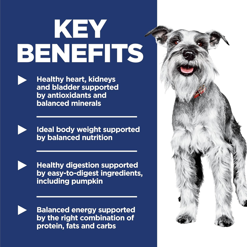 Nature’s Recipe Grain Free Salmon, Sweet Potato & Pumpkin Recipe Dry Dog Food, 24 lb. Bag : Pet Supplies