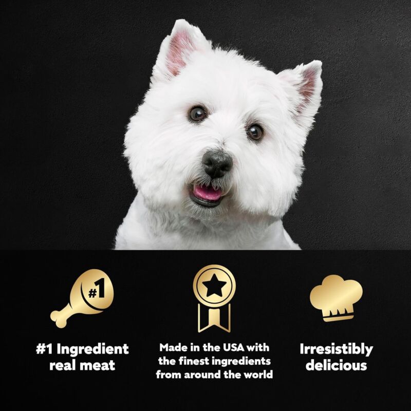 CESAR Soft Wet Dog Food Classic Loaf in Sauce Breakfast Variety Pack, (12) 3.5 oz. Easy Peel Trays, Pack of 2: Pet Supplies: Amazon.com