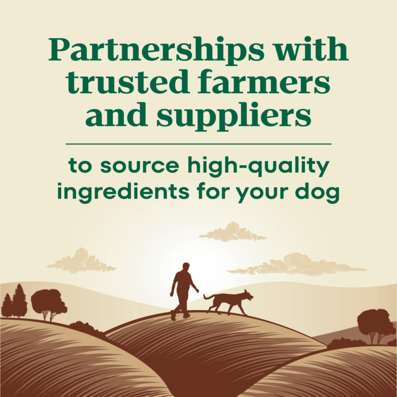 Nutro Max Senior Dry Dog Food with Farm-Raised Chicken, 25 lb. Bag : Pet Supplies