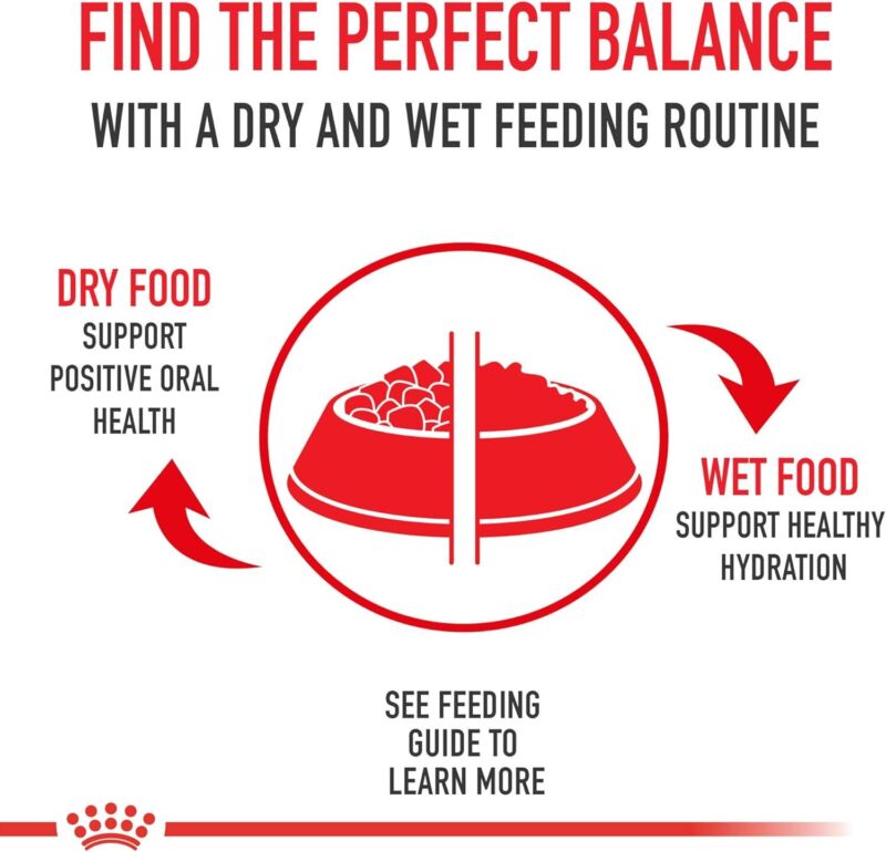 Royal Canin Poodle Adult Breed Specific Dry Dog Food, 2.5 lb bag: Dry Pet Food: Pet Supplies: Amazon.com