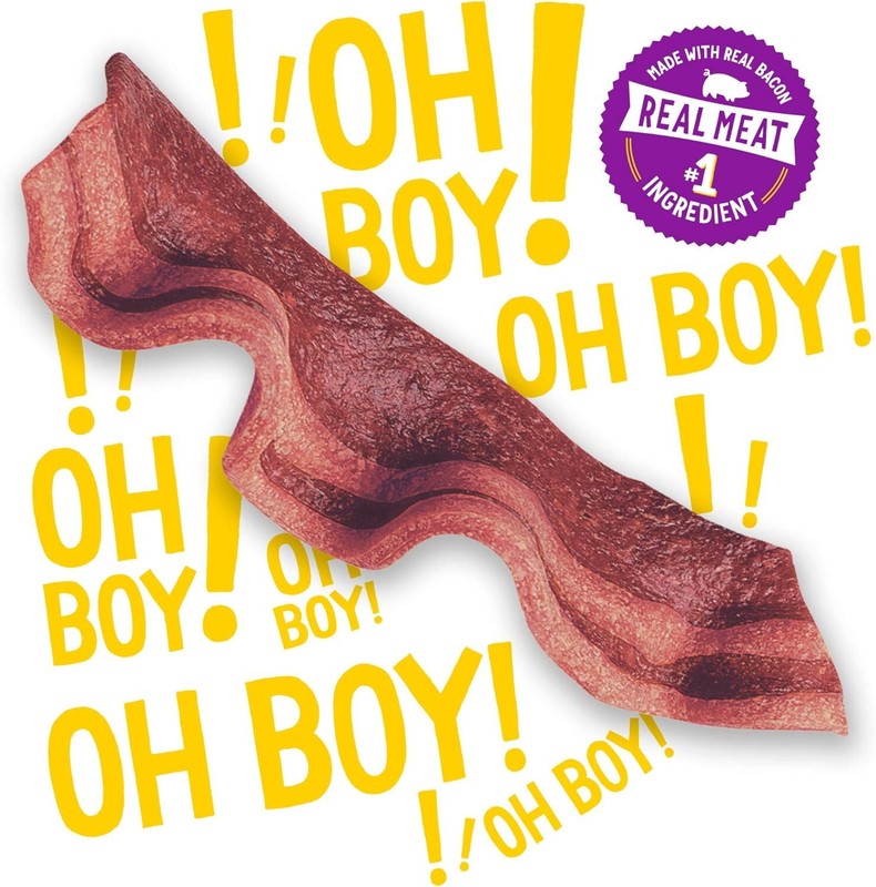 Purina Beggin' Strips With Real Meat Dog Treats With Bacon and Beef Flavors - (Pack of 2) 26 oz. Pouches : Pet Supplies