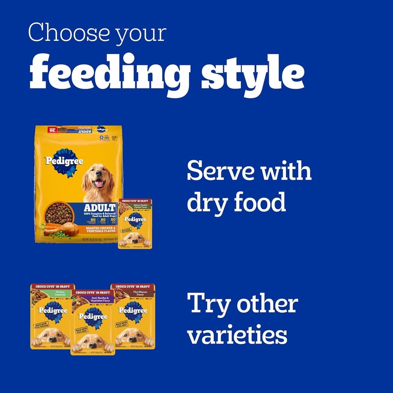 Pedigree Choice Cuts In Gravy Adult Soft Wet Dog Food 3.5 oz Pouches (Pack of 2)
