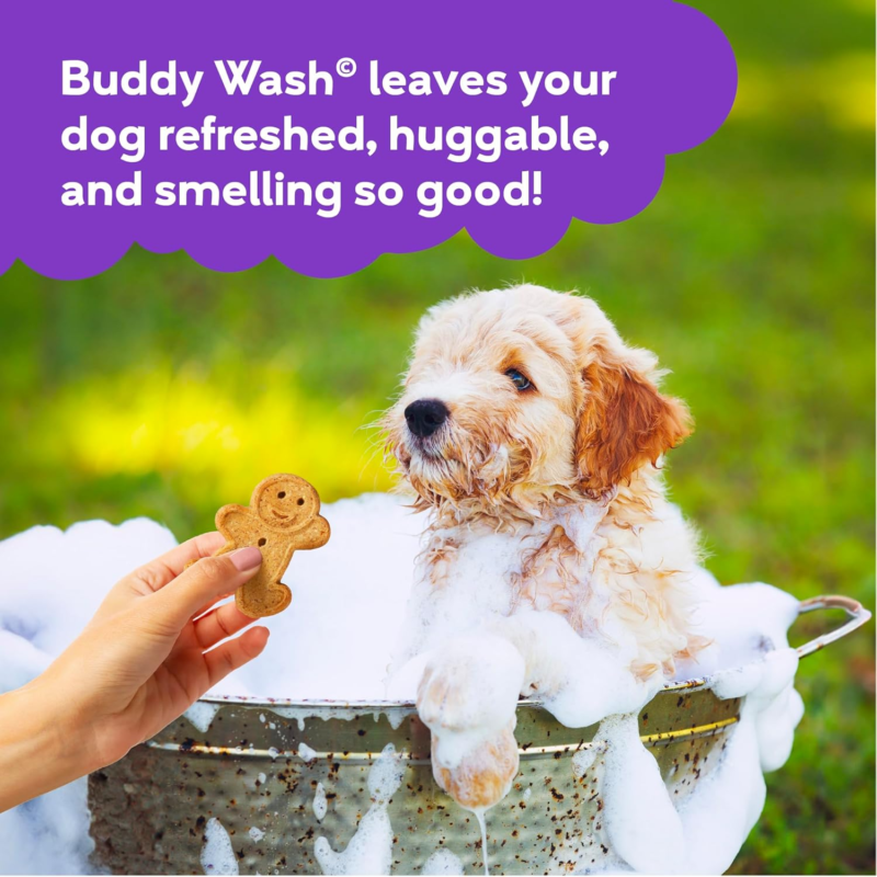 Pet Shampoos Plus Conditioners : Buddy Wash 2-in-1 Dog Shampoo and Conditioner for Dog Grooming, Lavender & Mint, 1 gal. Bottle