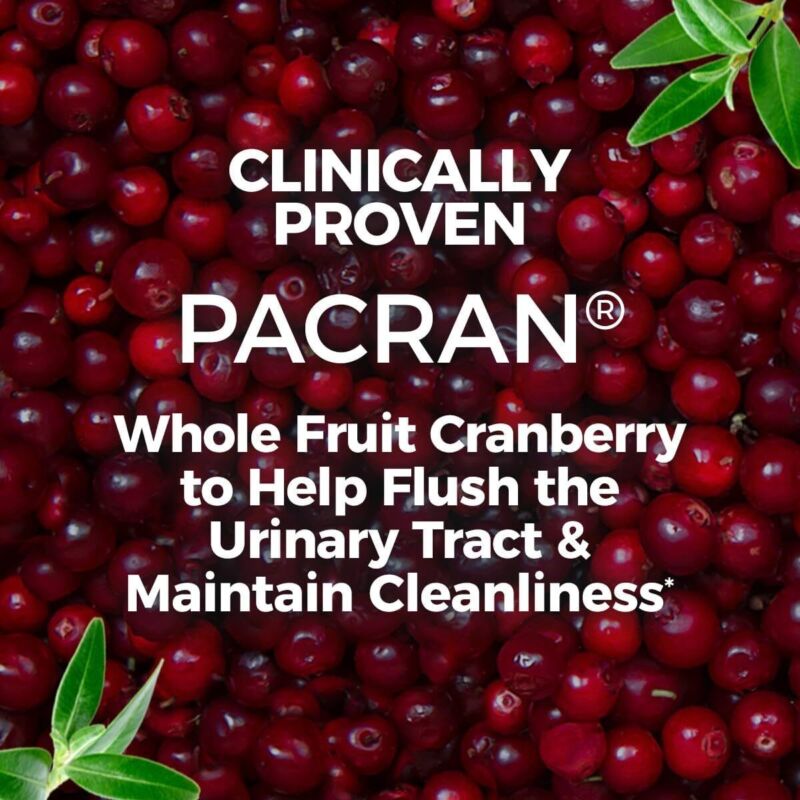 AZO Cranberry Supplement, Made with Concentrated Whole Fruit Cranberry Powder to Help Cleanse and Protect the Urinary Tract*, Sugar Free Cranberry Pills, Non-GMO, 100 Softgels : Health & Household