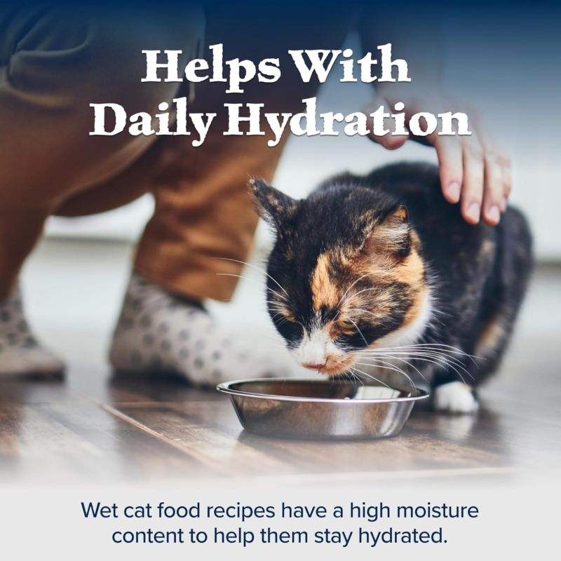 Blue Buffalo Wilderness Natural High-Protein Grain-Free Wet Food for Adult Cats, Salmon Paté, 3-oz. Cans, 24 Count