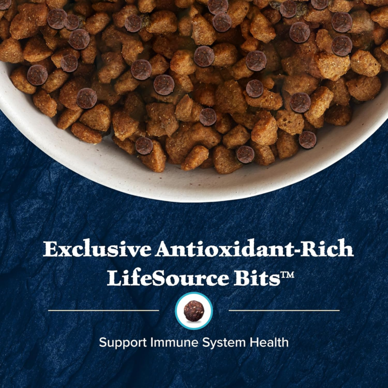 Blue Buffalo Wilderness Large Breed Adult Dry Dog Food Wholesome Grains Natural Ingredients Chicken : Sports & Outdoors