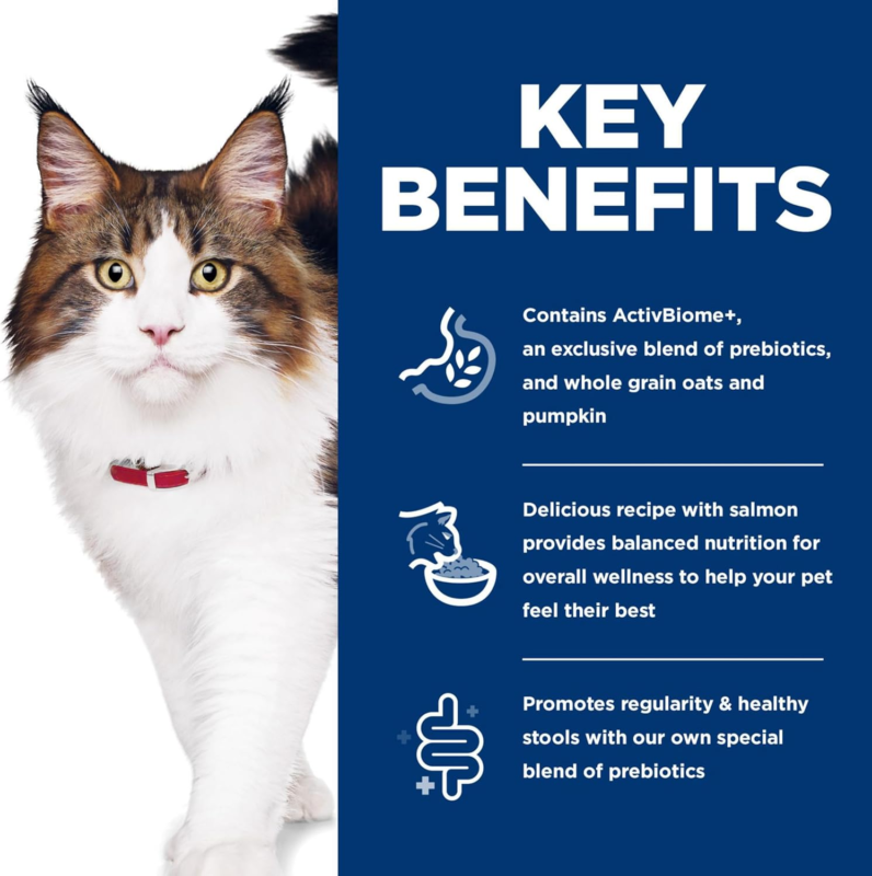 Hill's Science Diet Perfect Digestion, Adult 1-6, Digestive Support, Dry Cat Food, Salmon, Brown Rice, & Whole Oats, 6 lb Bag : Pet Supplies