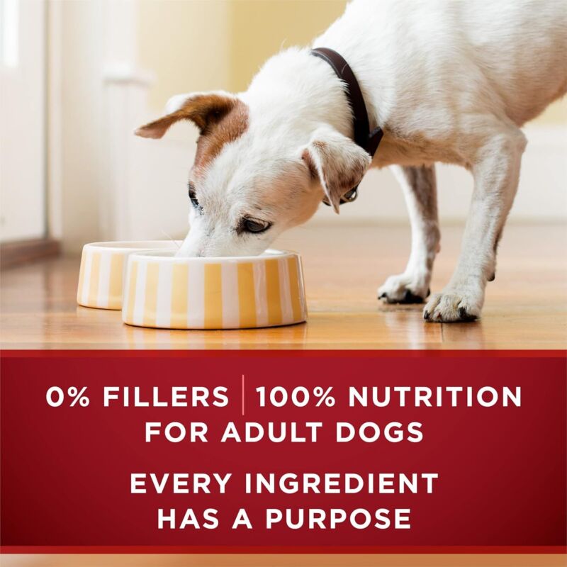 Purina ONE High Protein Wet Dog Food True Instinct Tender Cuts in Dog Food Gravy With Real Turkey and Venison - (Pack of 12) 13 oz. Cans: Pet Supplies: Amazon.com