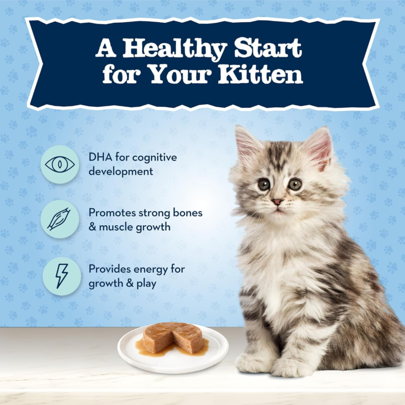 Blue Buffalo Baby Blue Natural Grain-Free Wet Food for Kittens, Healthy Growth Formula with DHA, High-Protein Salmon Paté, 3 oz Can