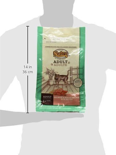 Nutro Wholesome Essentials Adult Dry Cat Food, Salmon & Brown Rice Recipe, 3 lbs. : Pet Supplies