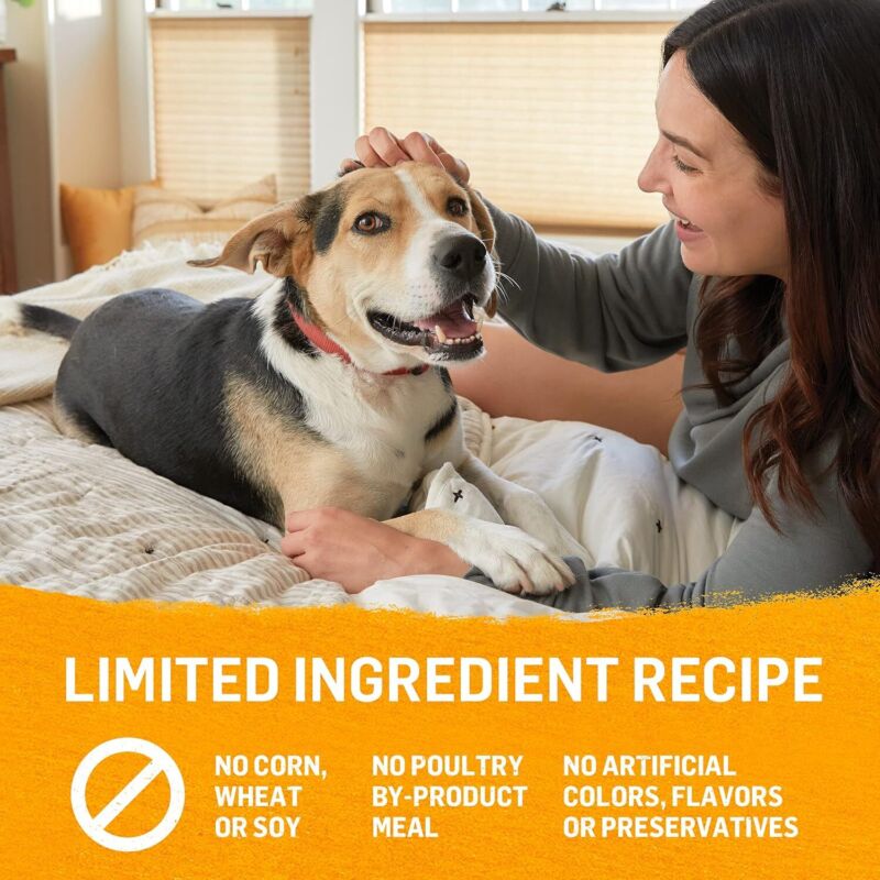 Purina Beyond Chicken, Carrot and Pea Ground Grain Free Wet Dog Food Natural Pate with Added Vitamins and Minerals - (Pack of 12) 13 oz. Cans: Pet Supplies: Amazon.com