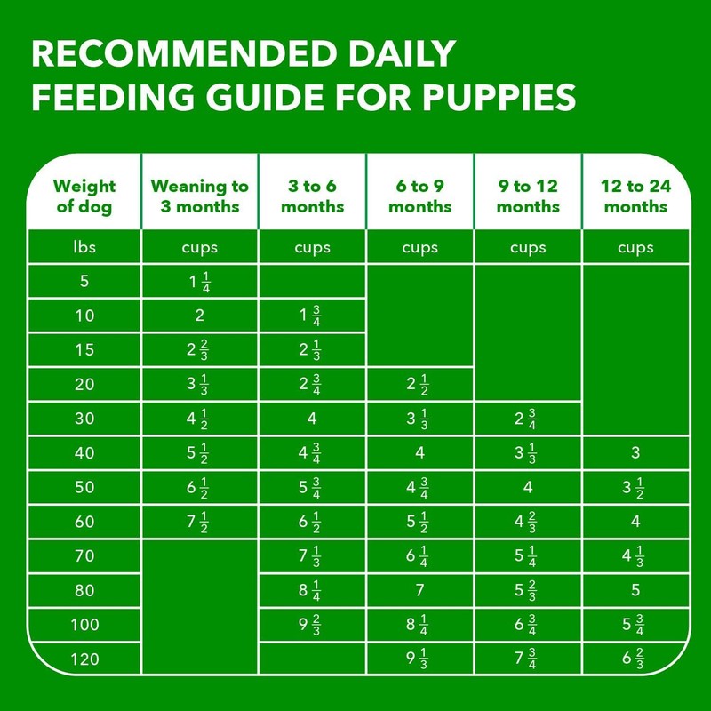 IAMS Smart Puppy Large Breed Dog Food Dry with Real Chicken, 30.6 lb. Bag : Pet Supplies