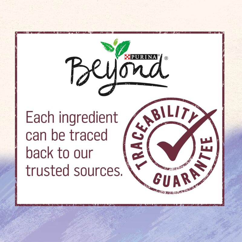 Purina Beyond High Protein, Grain Free, Natural Pate Wet Dog Food, WILD Turkey, Liver & Duck Recipe - (Pack of 12) 13 oz. Cans: Pet Supplies: Amazon.com