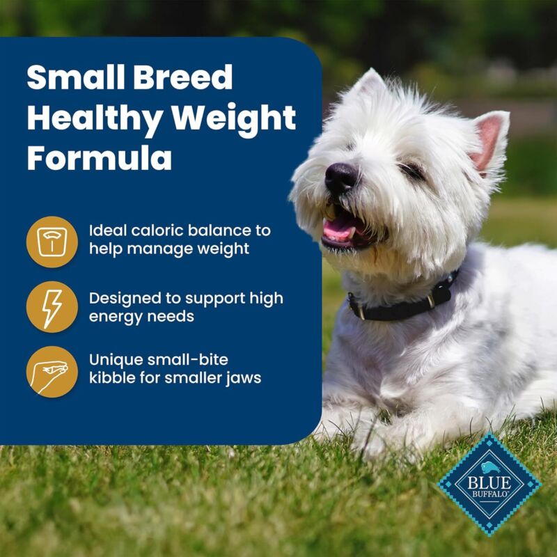 Blue Buffalo Life Protection Formula Small Breed Dry Dog Food,15lb