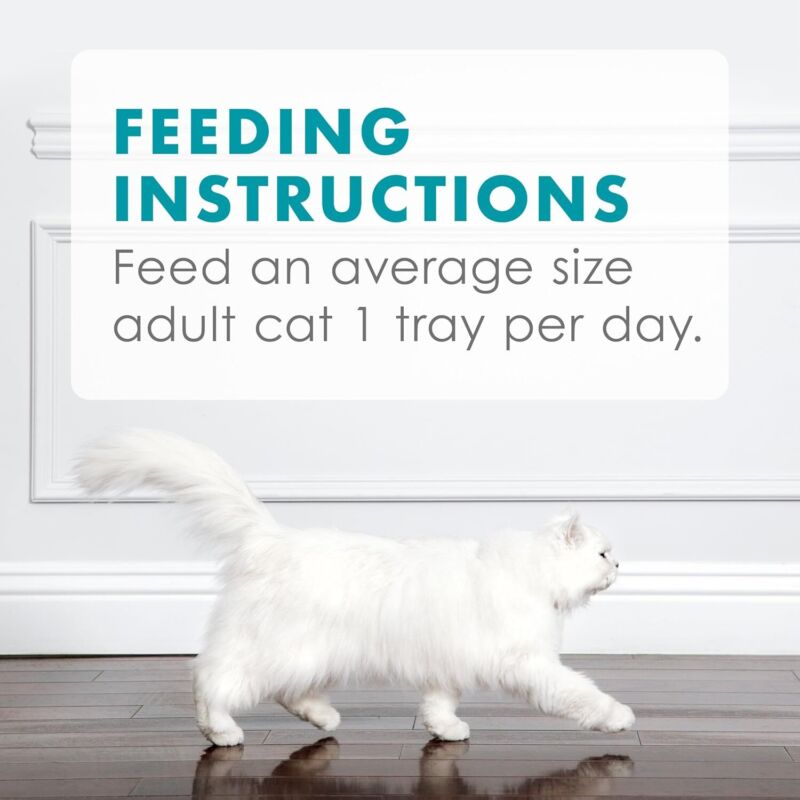Purina Fancy Feast Appetizers Lickable Grain Free Wet Cat Food Topper Light Meat Tuna Appetizer with Scallop - (Pack of 10) 1.1 oz. Trays : Pet Supplies