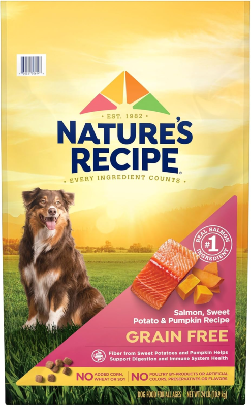 Nature’s Recipe Grain Free Salmon, Sweet Potato & Pumpkin Recipe Dry Dog Food, 24 lb. Bag : Pet Supplies