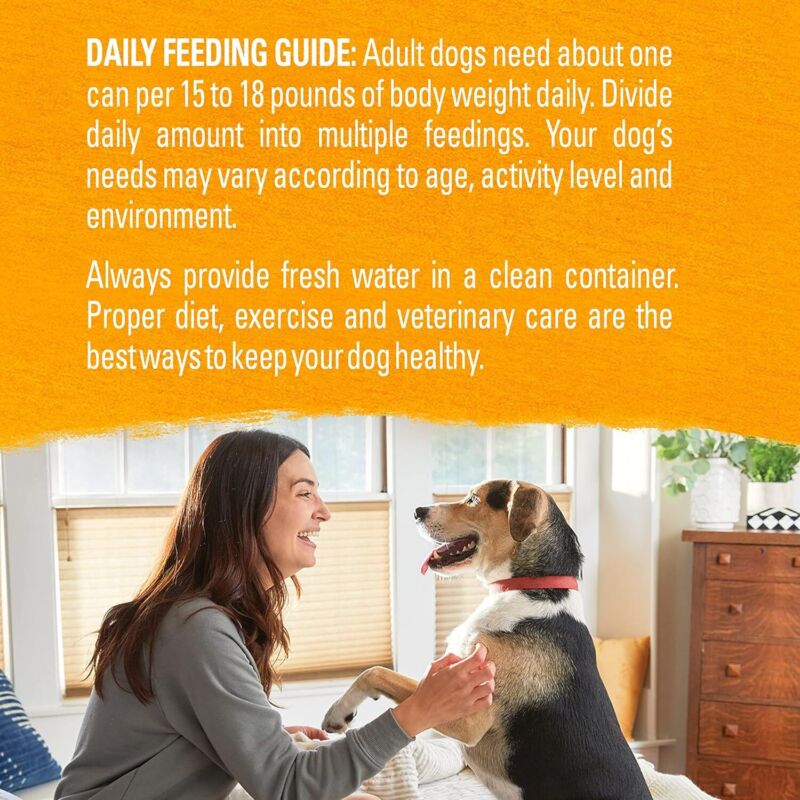 Purina Beyond Chicken, Carrot and Pea Ground Grain Free Wet Dog Food Natural Pate with Added Vitamins and Minerals - (Pack of 12) 13 oz. Cans: Pet Supplies: Amazon.com