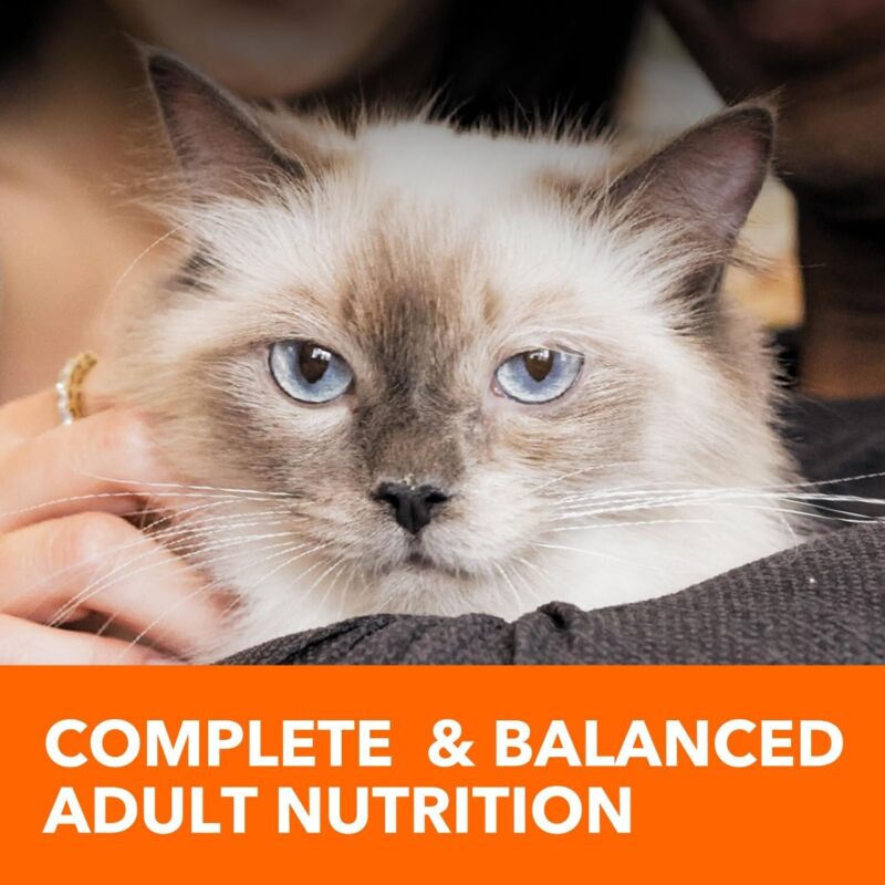 IAMS Proactive Health Indoor Weight Control & Hairball Care Adult Dry Cat Food with Chicken & Turkey, 22 lb. Bag