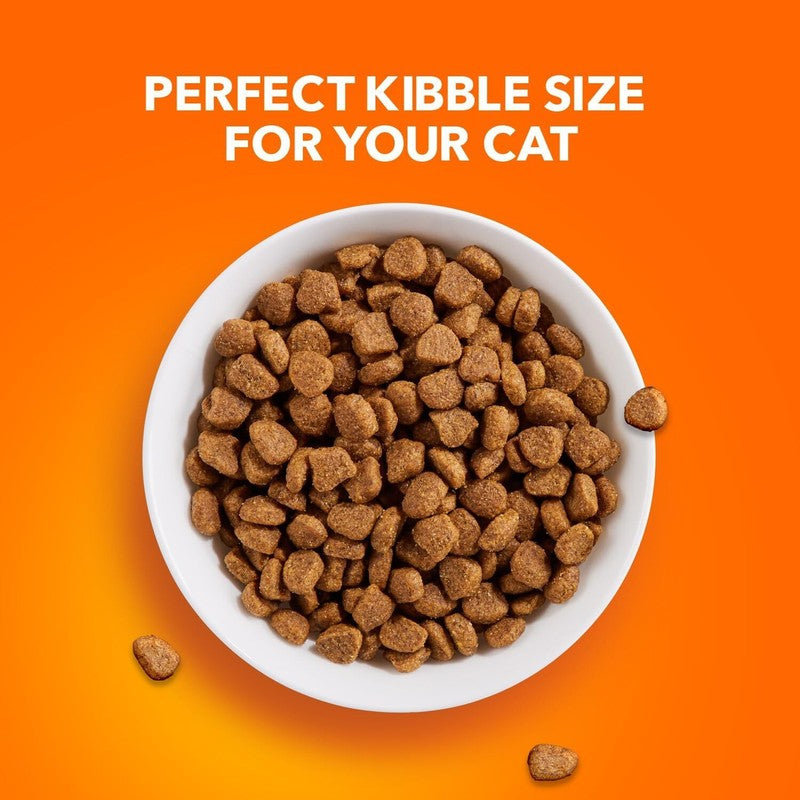 IAMS Proactive Health Healthy Adult Dry Cat Food with Chicken, 22 lb. Bag : Pet Supplies