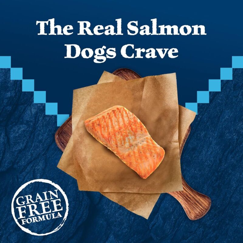 Blue Buffalo Wilderness Adult High-Protein Dry Dog Food with Real Salmon, Grain-Free, Made in the USA with Natural Ingredients, Salmon, 24-lb Bag