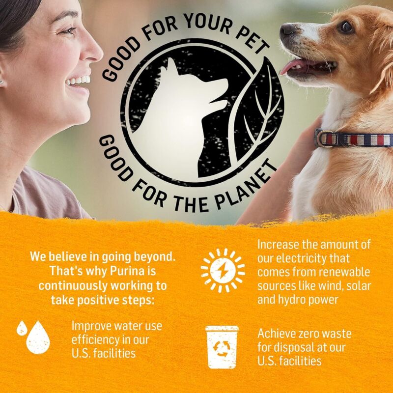 Purina Beyond Chicken, Carrot and Pea Ground Grain Free Wet Dog Food Natural Pate with Added Vitamins and Minerals - (Pack of 12) 13 oz. Cans: Pet Supplies: Amazon.com