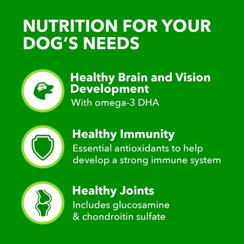 IAMS Smart Puppy Large Breed Dog Food Dry with Real Chicken, 30.6 lb. Bag : Pet Supplies