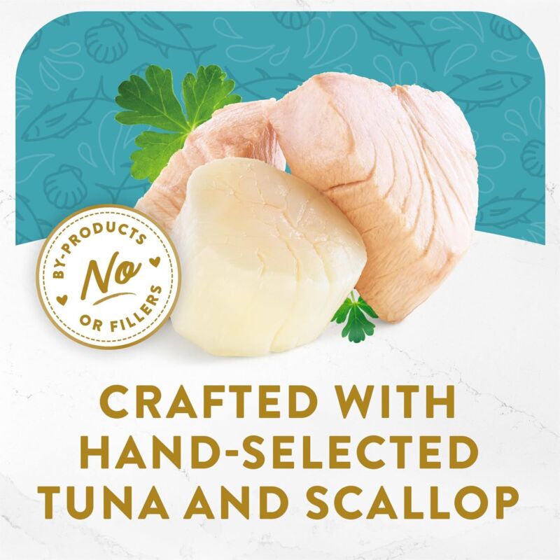 Purina Fancy Feast Appetizers Lickable Grain Free Wet Cat Food Topper Light Meat Tuna Appetizer with Scallop - (Pack of 10) 1.1 oz. Trays : Pet Supplies