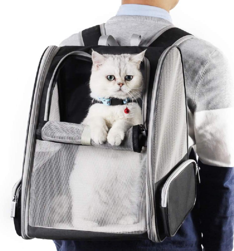 Texsens Innovative Traveler Bubble Backpack Pet Carriers for Cats and Dogs (Black) : Pet Supplies