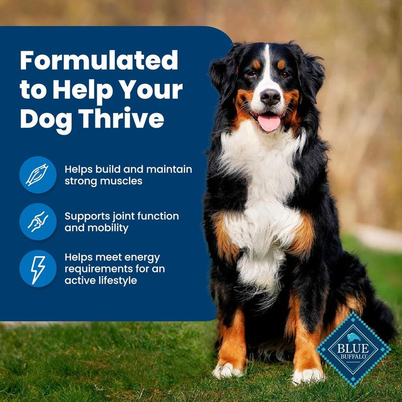 Blue Buffalo Life Protection Formula Adult Dry Dog Food, Helps Build and Maintain Strong Muscles, Made with Natural Ingredients, Chicken & Brown Rice Recipe, 5-lb. Bag : Pet Supplies